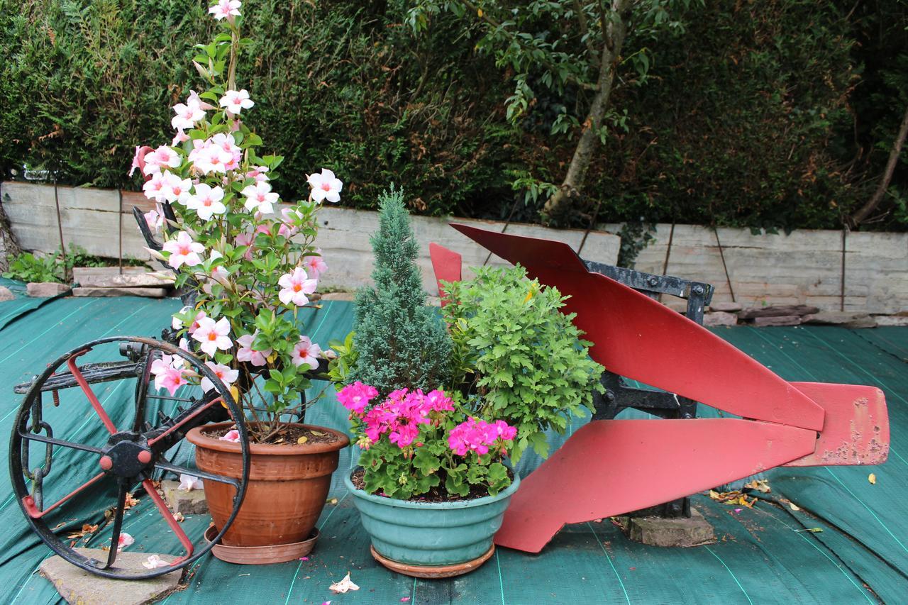 Apartamento Rural Oizalde Елисондо Екстериор снимка